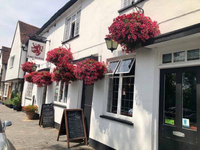 Lower Red Lion