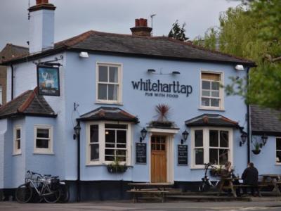White Hart Tap, St Albans
