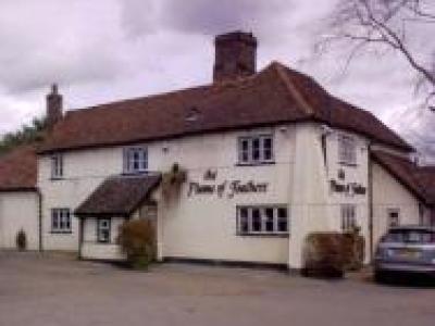 Plume of Feathers at Tewin