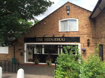 Hedgehog at Welwyn Garden City