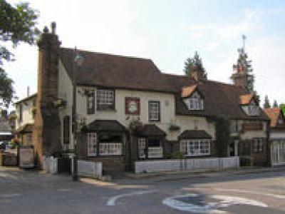 Swan at Wheathampstead