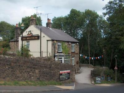 Hollybush - Sheffield