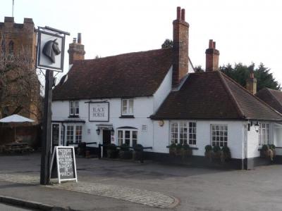 Black Horse - Fulmer