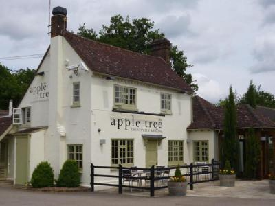 Apple Tree, Gerrards, Cross