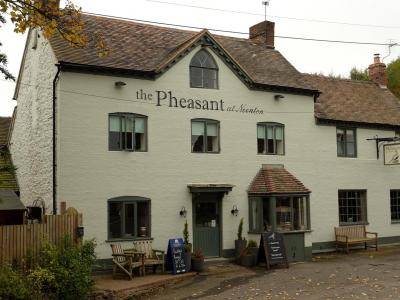 Pheasant at Neenton - Neenton