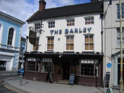 Barley