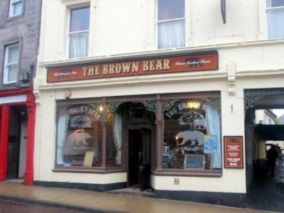 Brown Bear