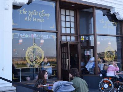 Split Chimp - Whitley Bay