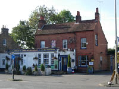 Sportsman at Croxley Green