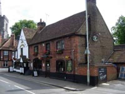Feathers at Rickmansworth