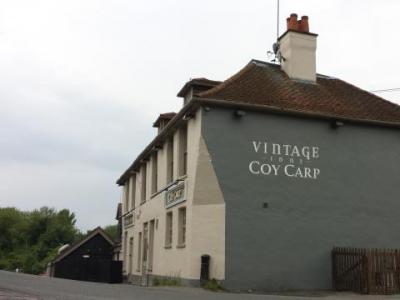 Coy Carp - West Hyde
