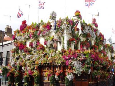 Churchill Arms W8 Aug 2015