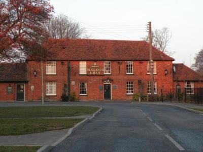Maldon Grey - Sudbury