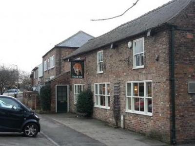 Tiger - Haxby