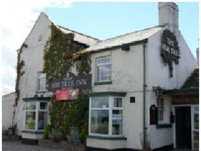 Ash Tree - Barkston Ash
