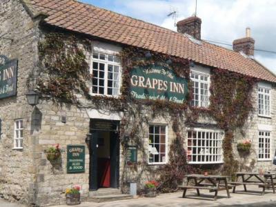 Grapes - Great Habton