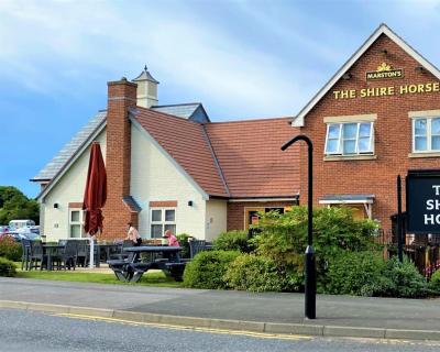 Shire Horse - Killingworth