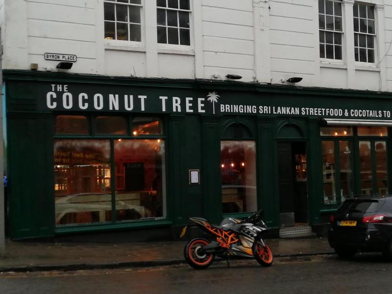 coconut tree bristol whatpub com coconut tree bristol whatpub com