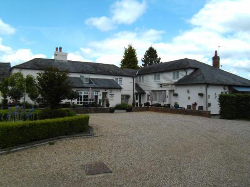 Chilterns Fox, Ibstone