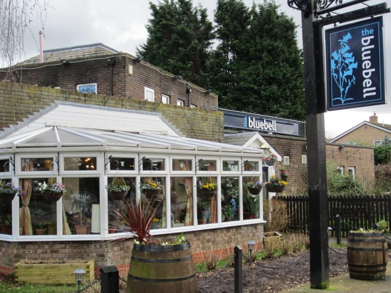 Bluebell, Bedford