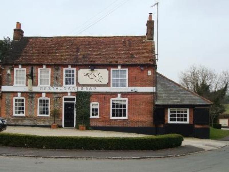 Hare, Lambourn Woodlands •