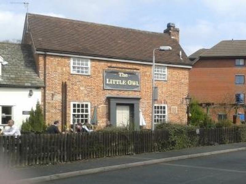 Little Owl, Solihull •