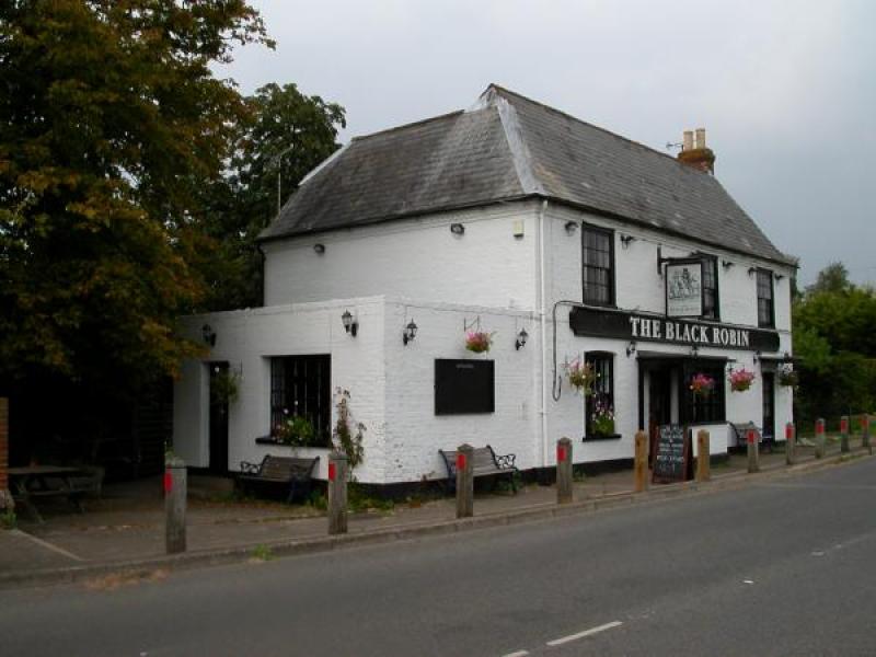 Black Robin, Kingston