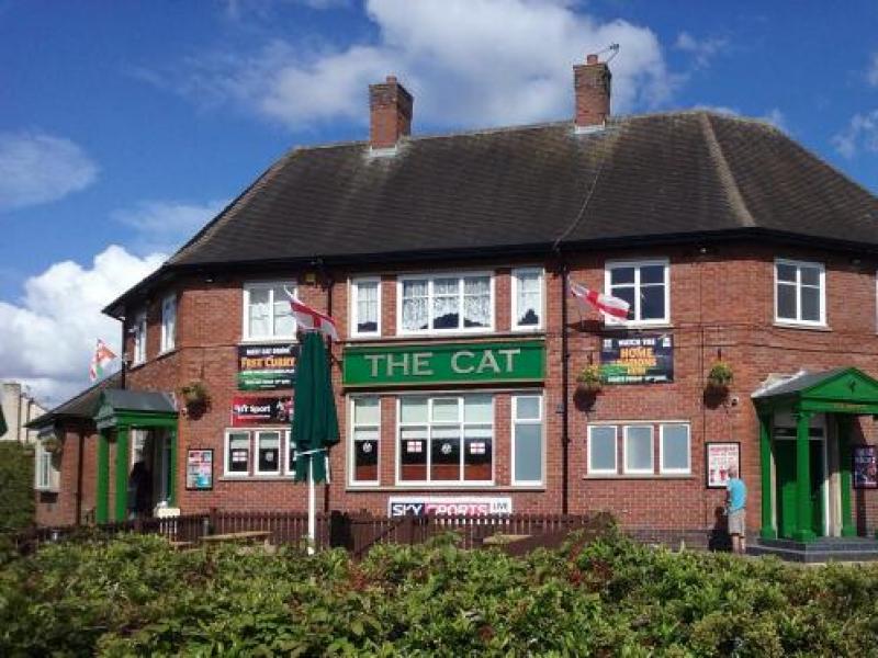 Cat, Ellesmere Port