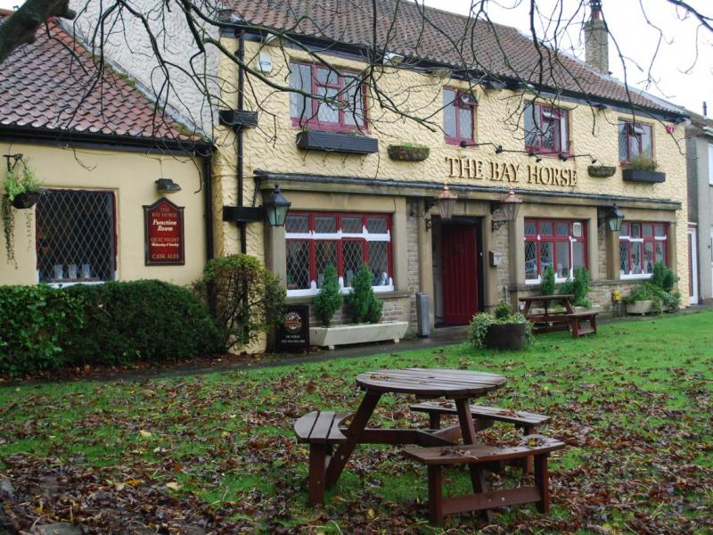 Bay Horse, Middridge