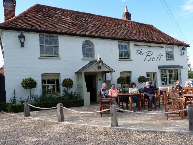 Bull, Great Totham