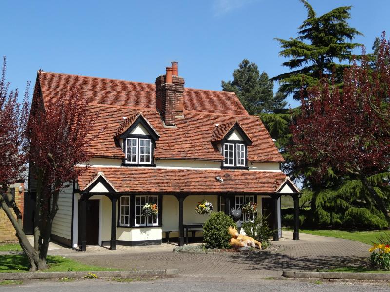 Cats, Woodham Walter