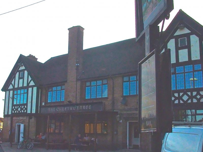 Chestnut Tree, Derby