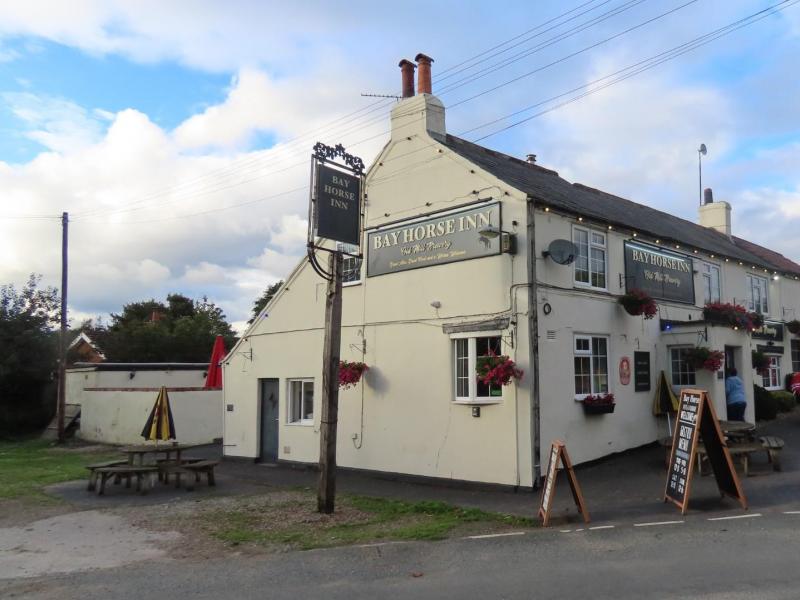 Bay Horse, Great Heck