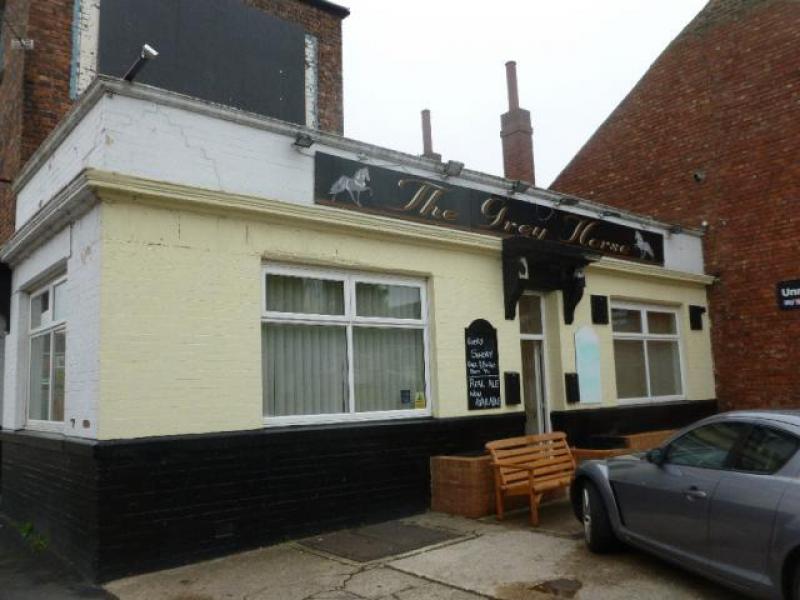 Grey Horse, Haswell •