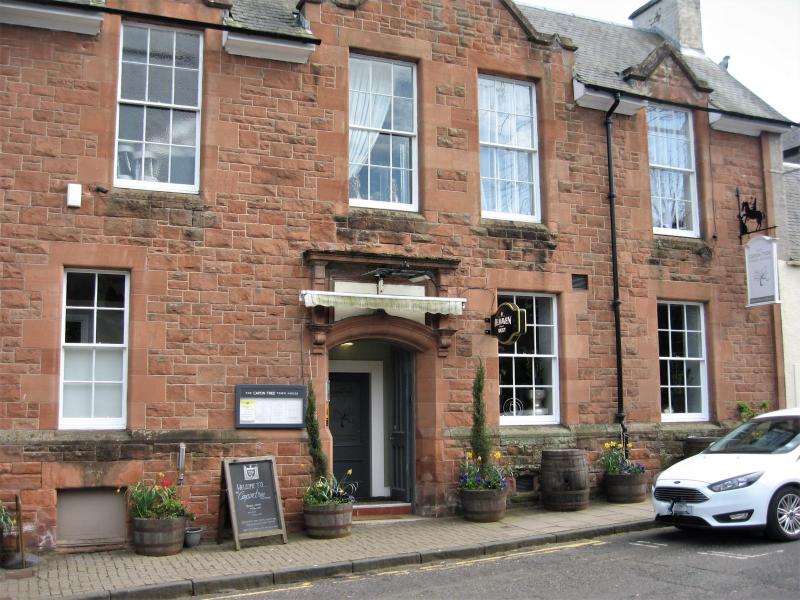 Capon Tree, Jedburgh