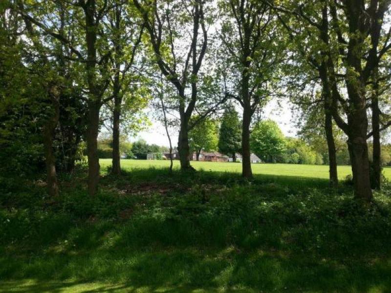 Alton Golf Club, Shalden
