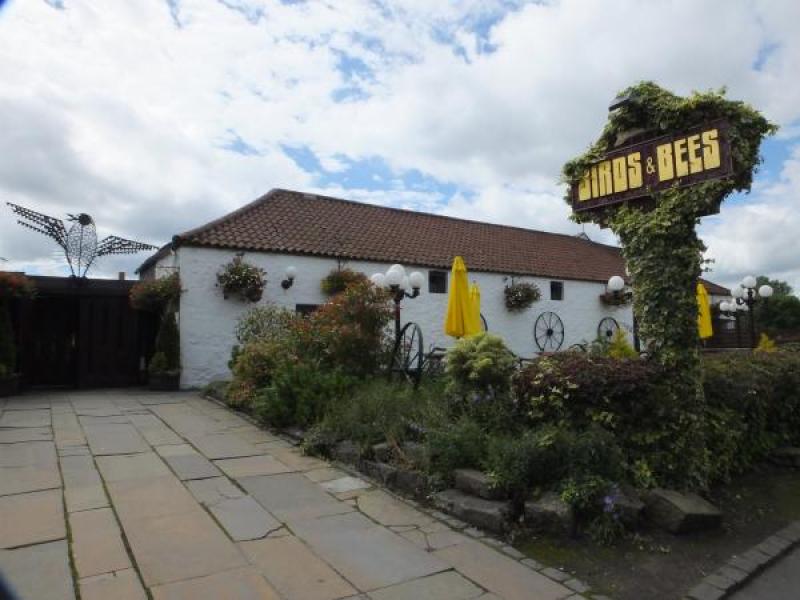 Birds & Bees, Stirling