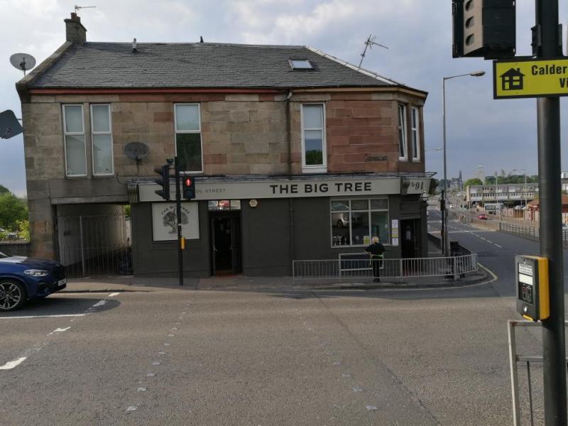 Big Tree, Coatbridge