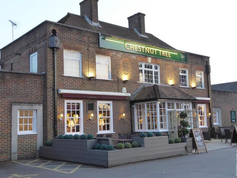 Chestnut Tree, Andover
