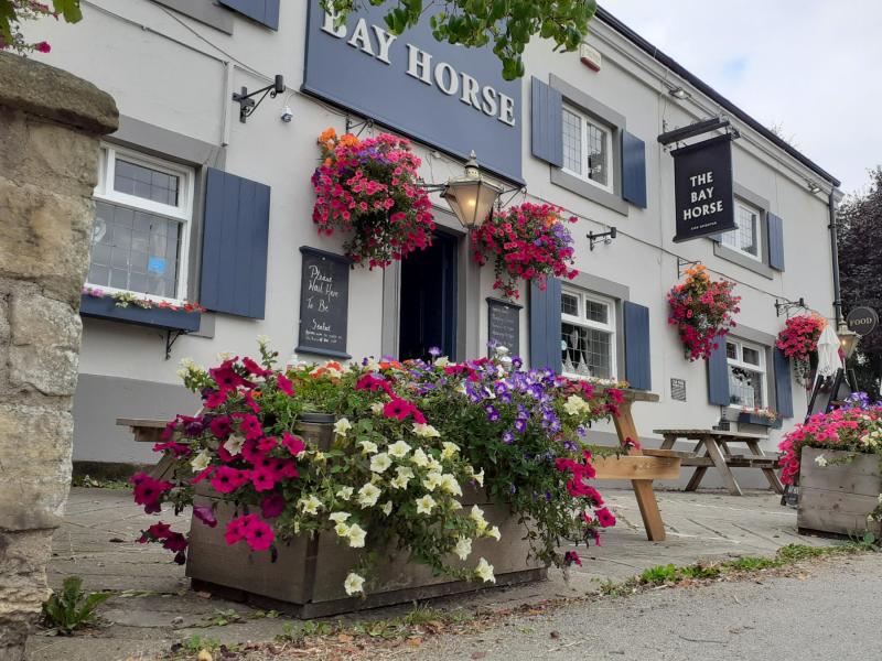 Bay Horse, Kirk Deighton