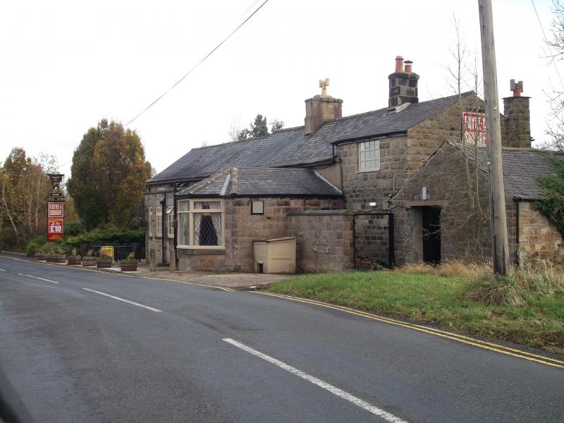 Squinting Cat, Lund House Green •