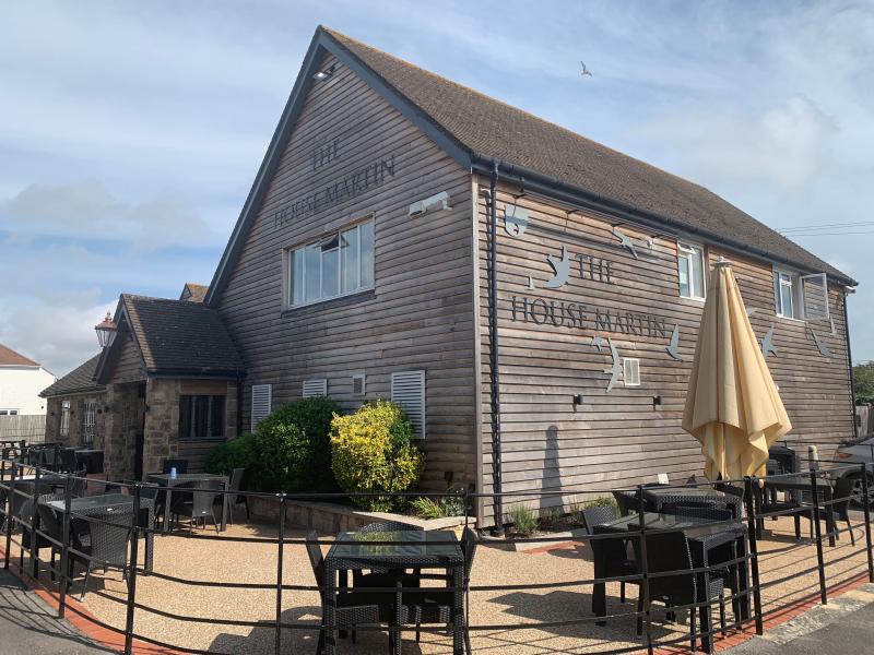 House Martin, Barton on Sea •