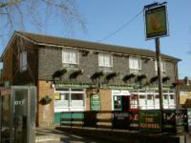 Squirrel, Stevenage •