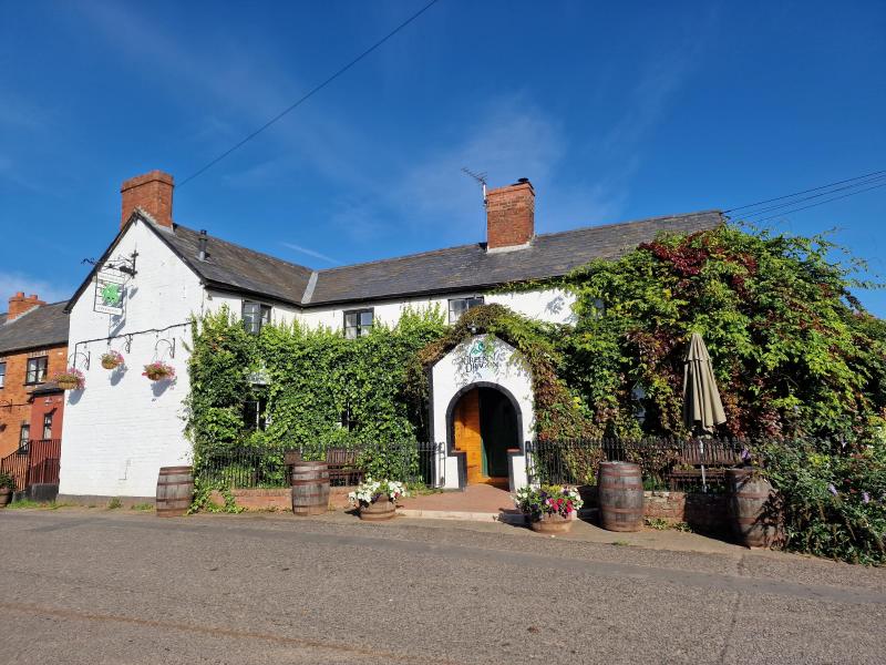 Green Dragon, Frome •