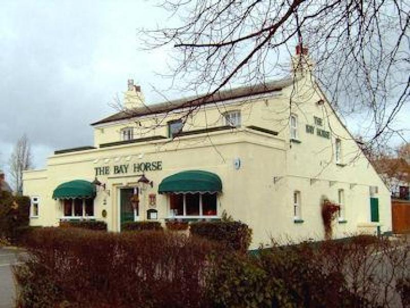 Bay Horse, Hereford