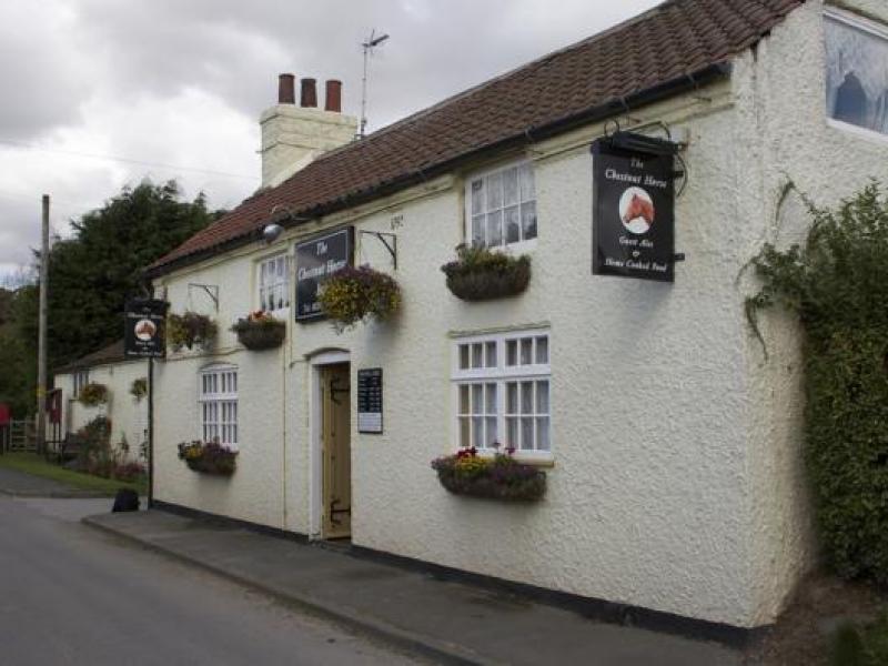 Chestnut Horse, Great Kelk •