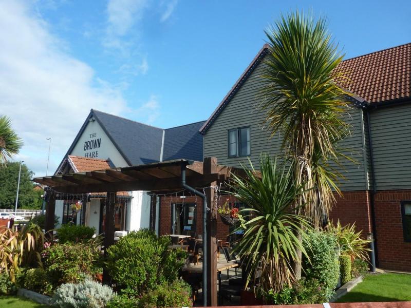 Brown Hare, Penwortham
