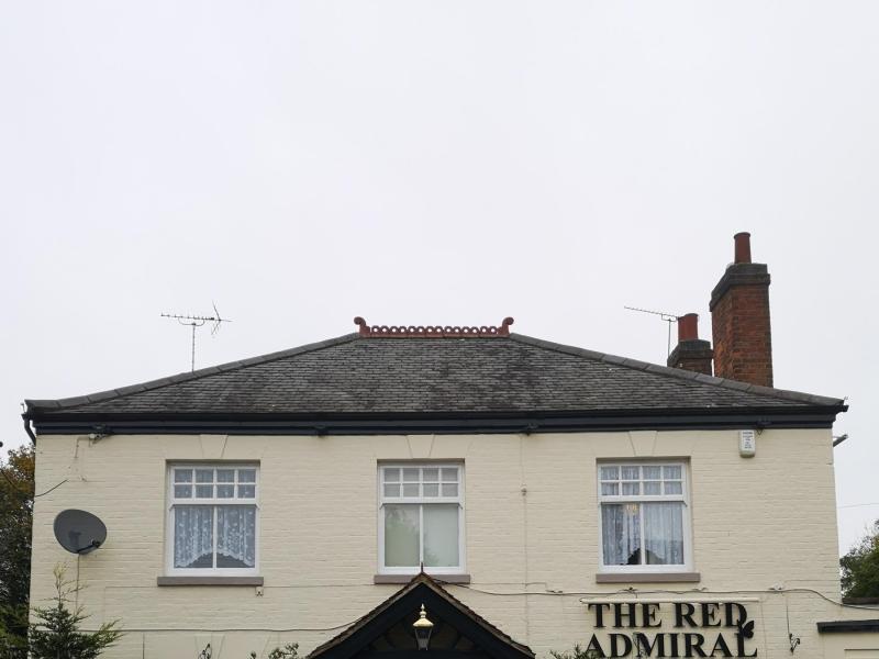 Red Admiral, Broughton Astley •