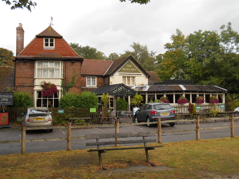 Bull, Penenden Heath