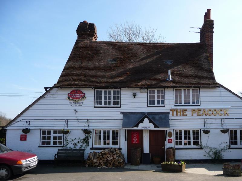 Peacock, Iden Green (Goudhurst) •